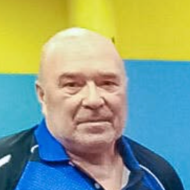 Вилен Стефан Мичев