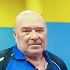 Вилен Стефан Мичев