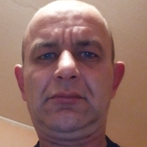 Димитър Николов Кривчев